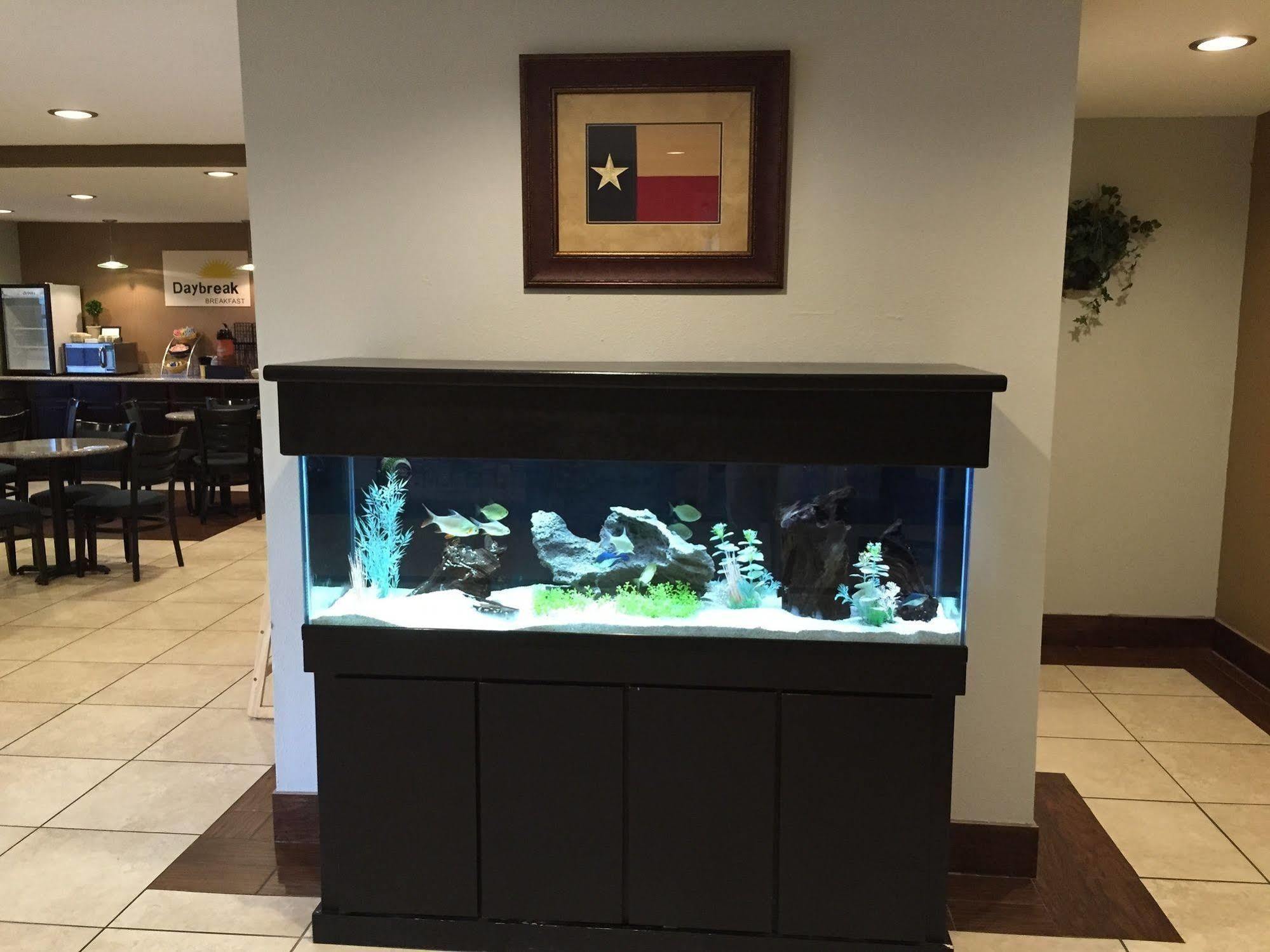 Days Inn By Wyndham New Braunfels Esterno foto